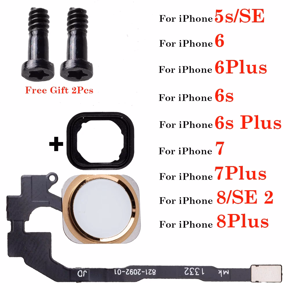 Are iPhone 6 & 6 plus the same?