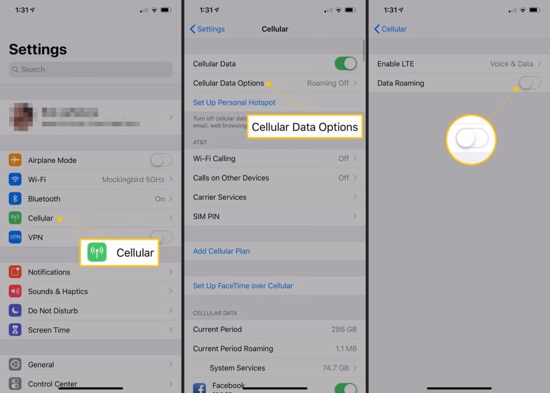 How do I disable roaming on my iPhone?
