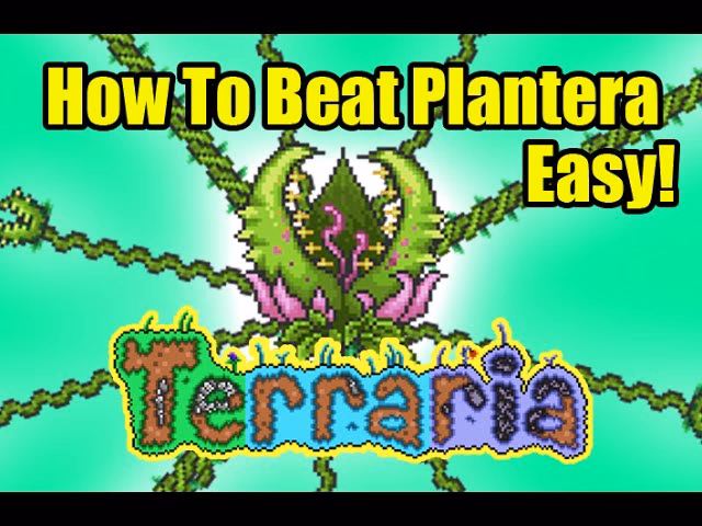 How do you kill plantera?