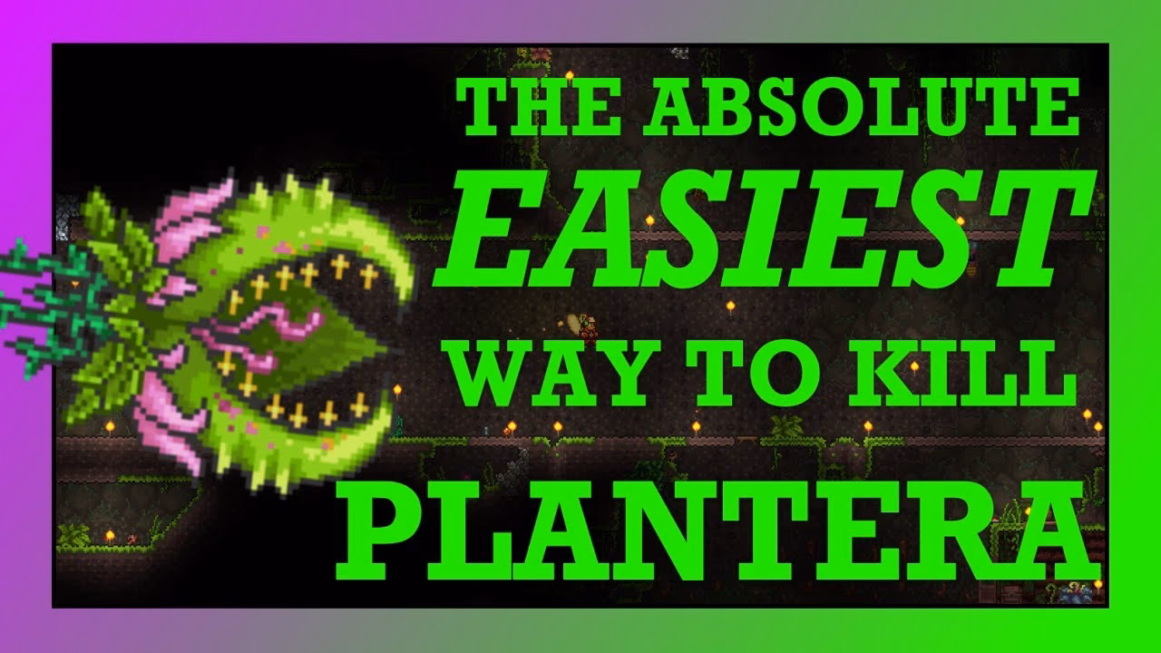 How do you kill plantera?