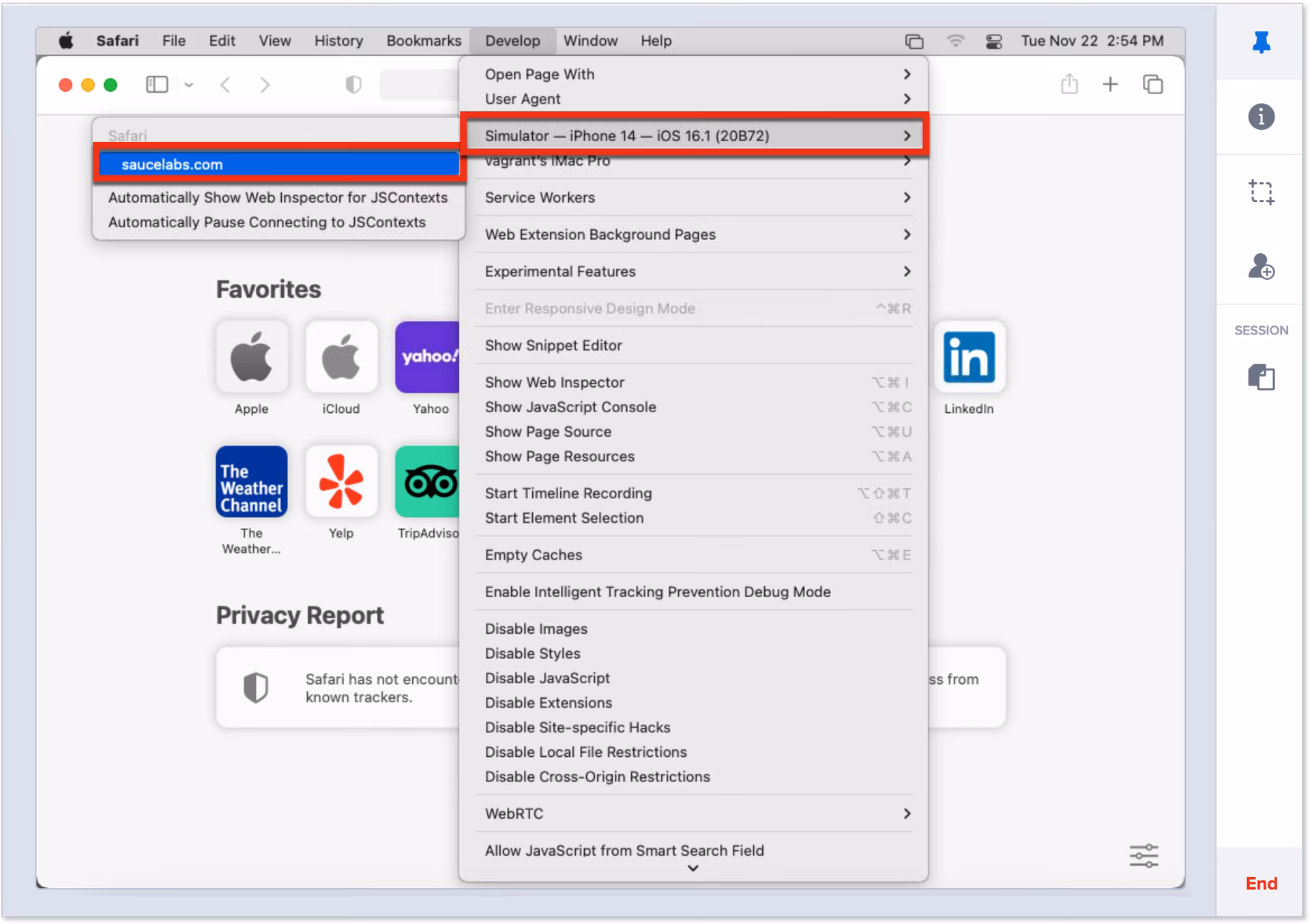 How do I inspect a website on my iPhone?