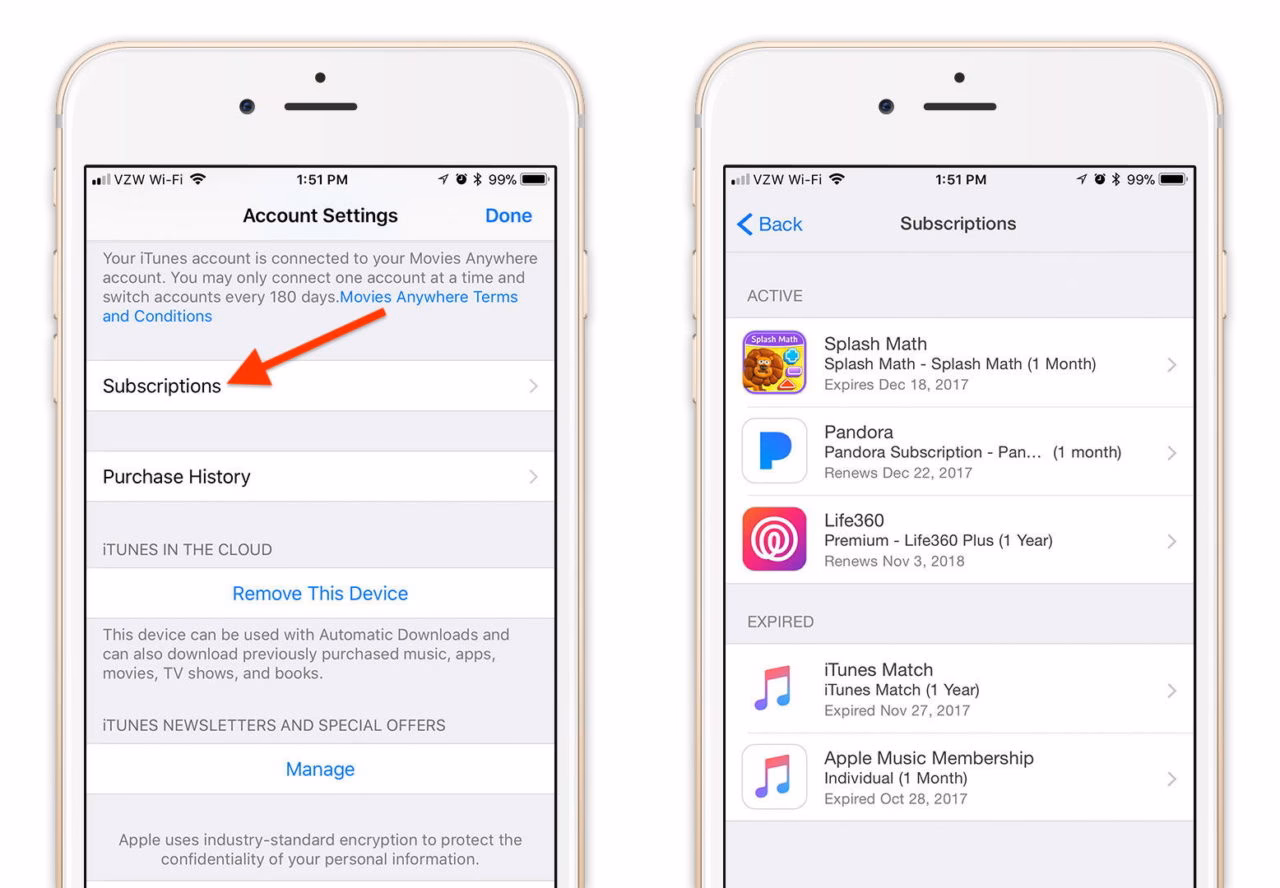 How do I View My App Store subscriptions from my iPhone?