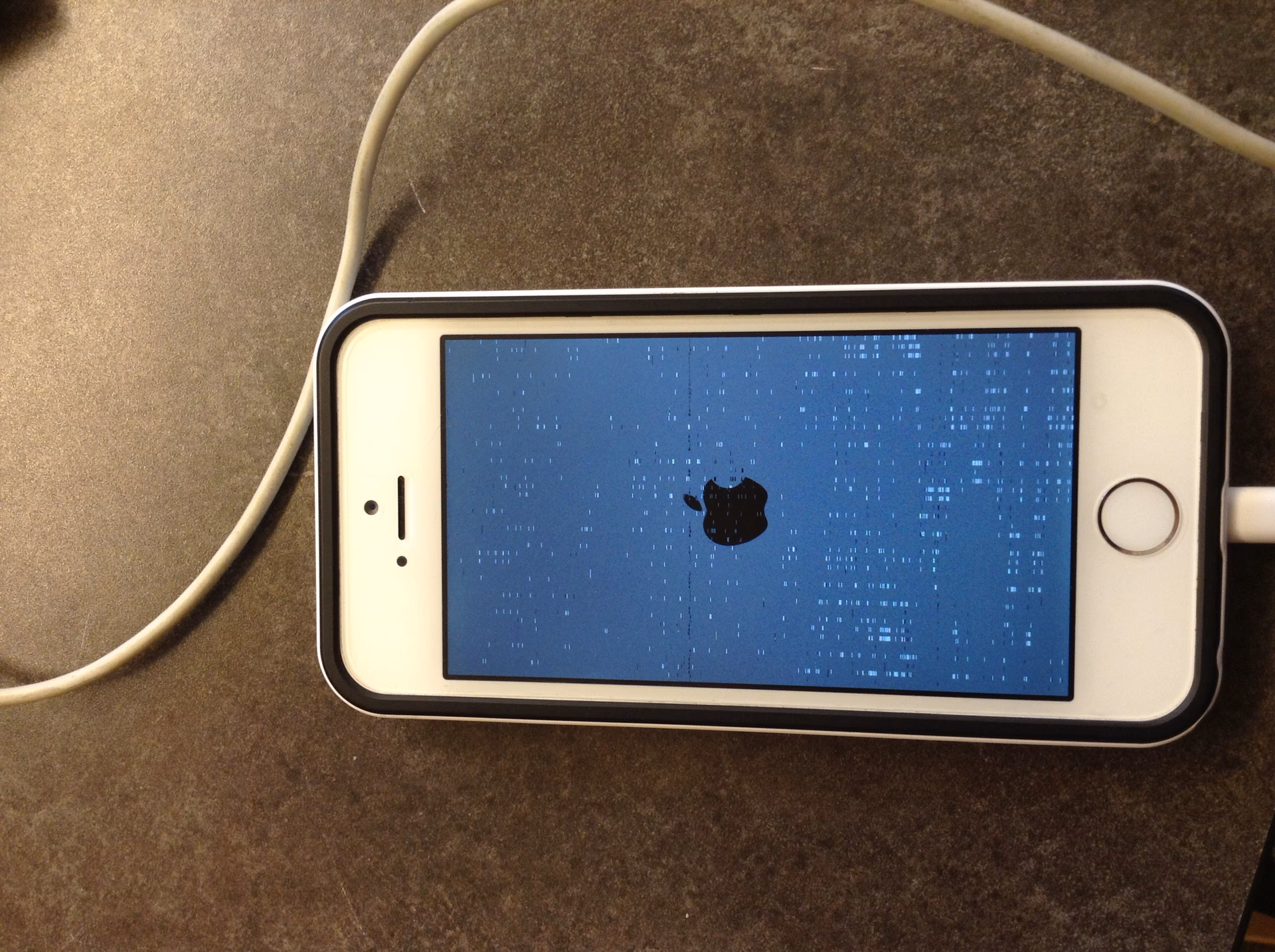 Why does my iPhone 5S have a blue screen?