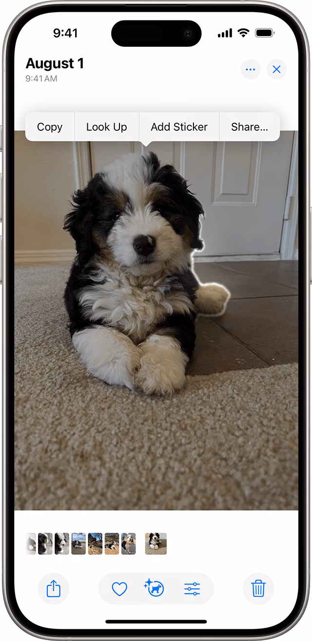 How to view photos from iPhone backup on PC?