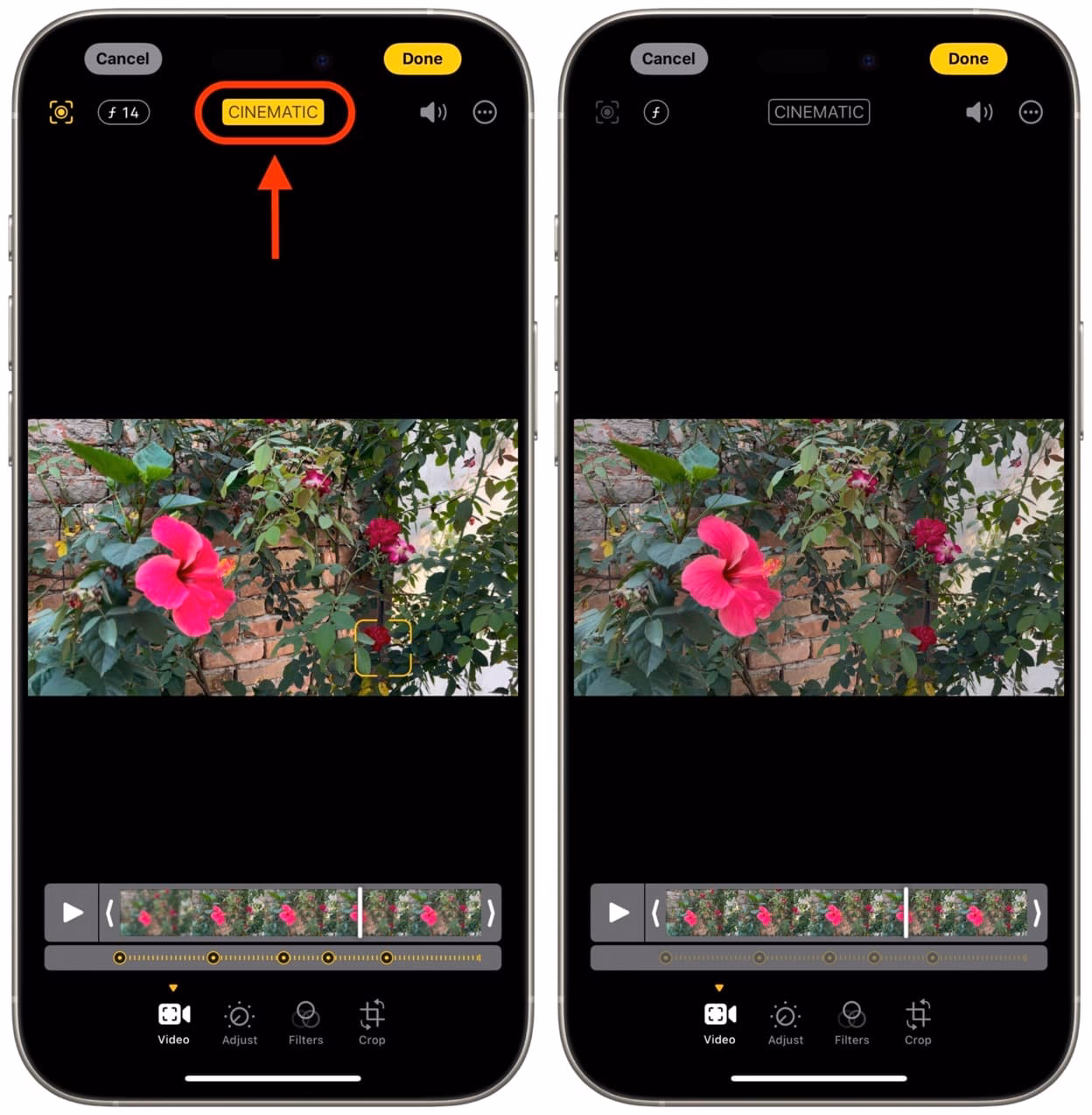 What is high dynamic range video on iPhone?