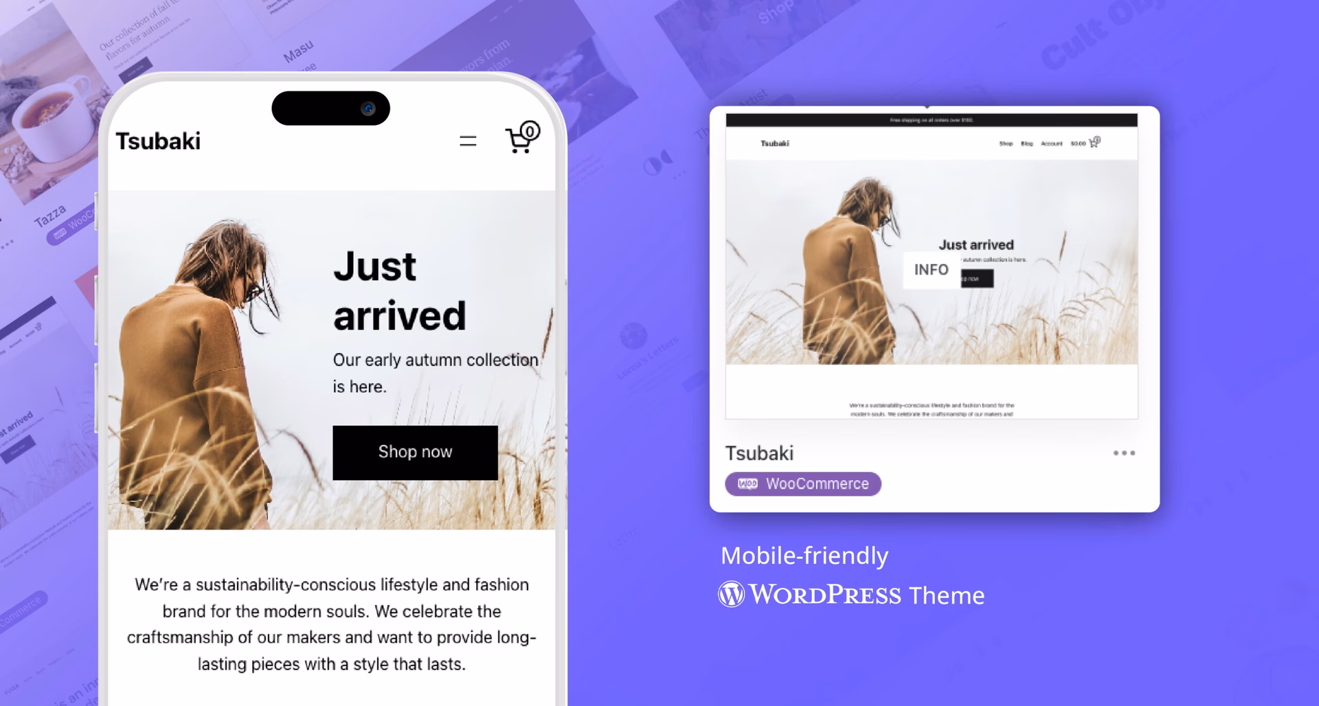 How to make WooCommerce a good mobile store?