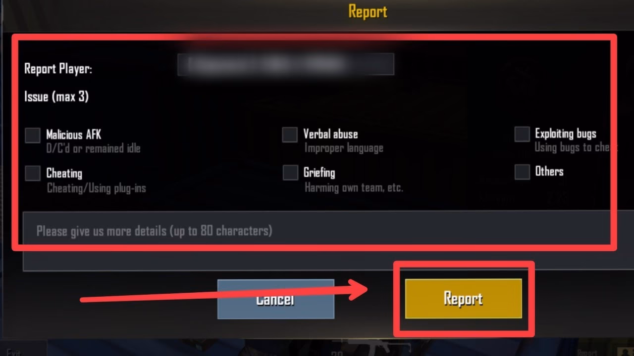 How does PUBG report work?