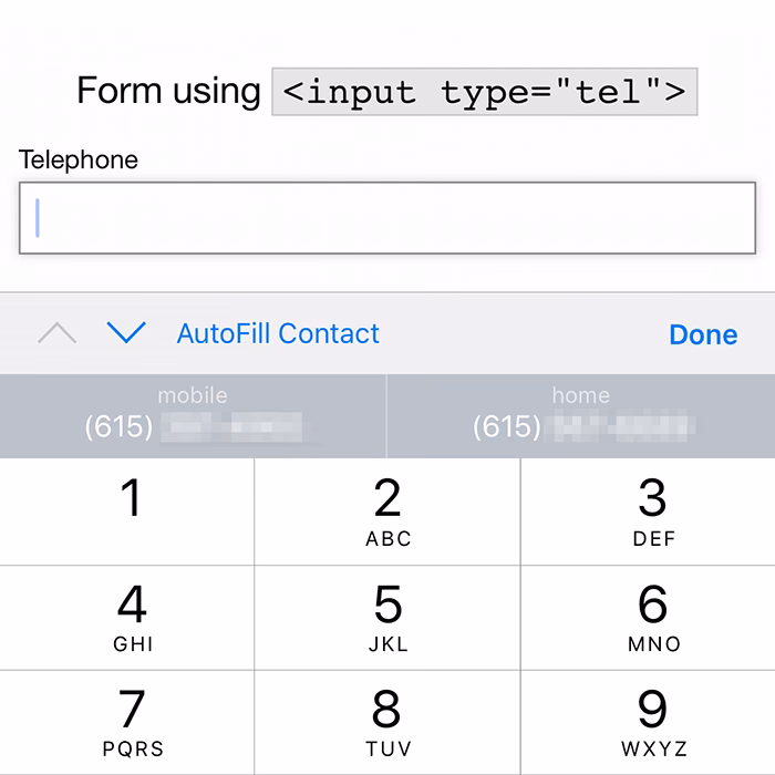What is a telephone number input type?