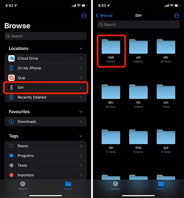 What is local network access on iPhone?