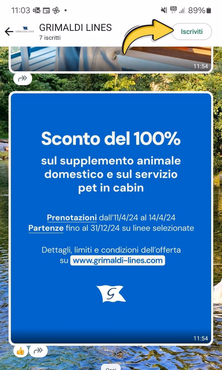 What is my Grimaldi?