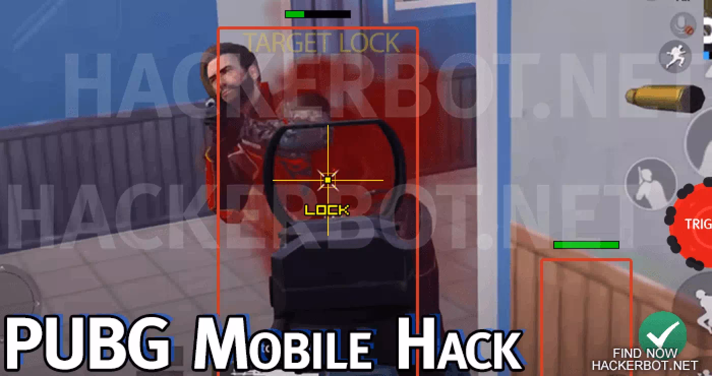 What is hackerbot PUBG?