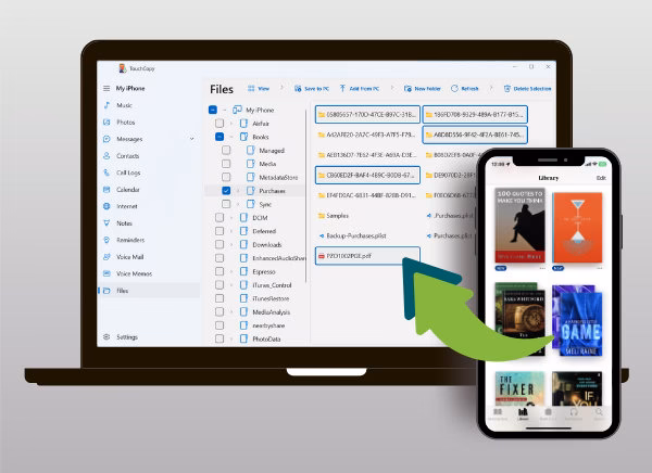 Can I transfer iBooks from iPhone to PC?