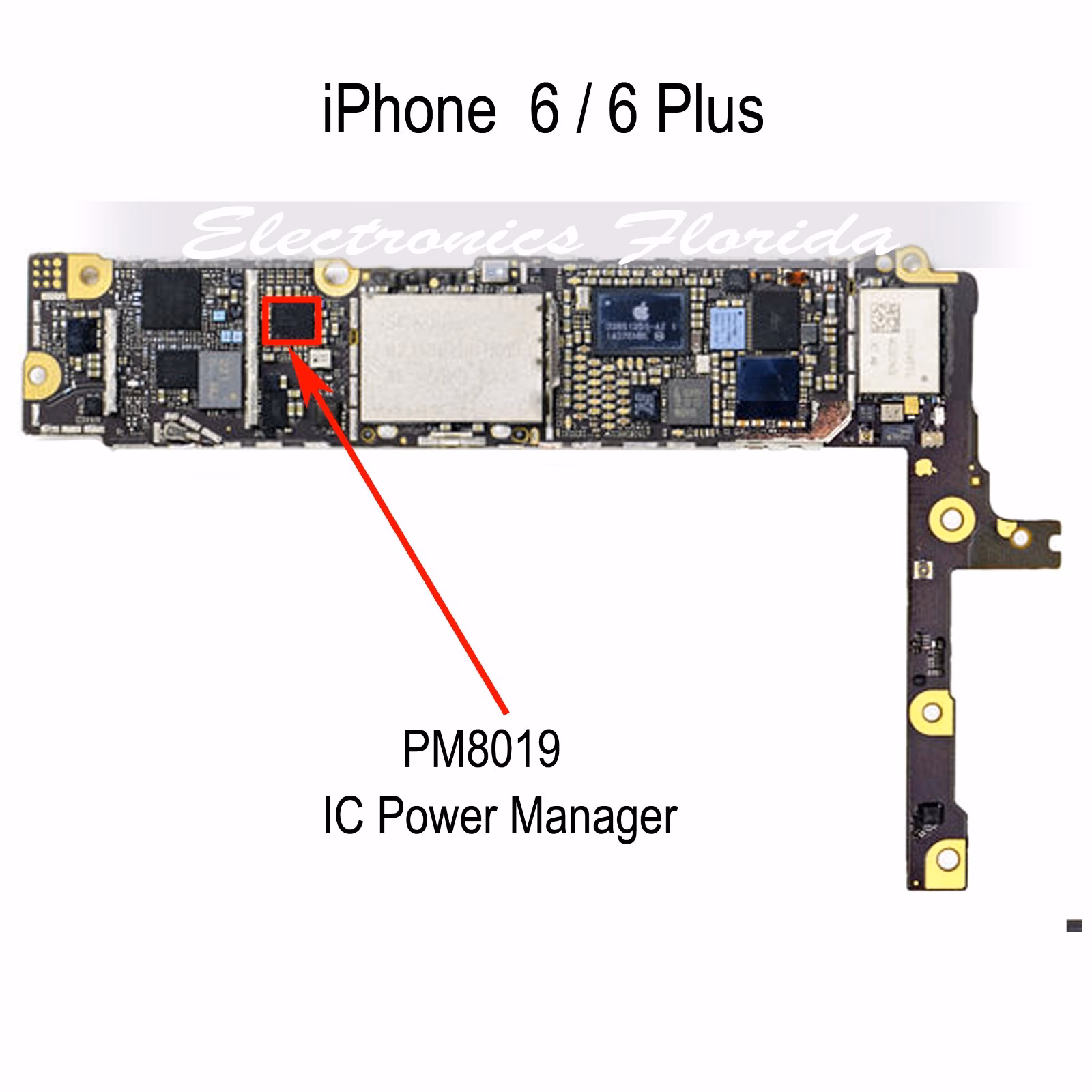 What is power management IC for iPhone 6 / 6 Plus?