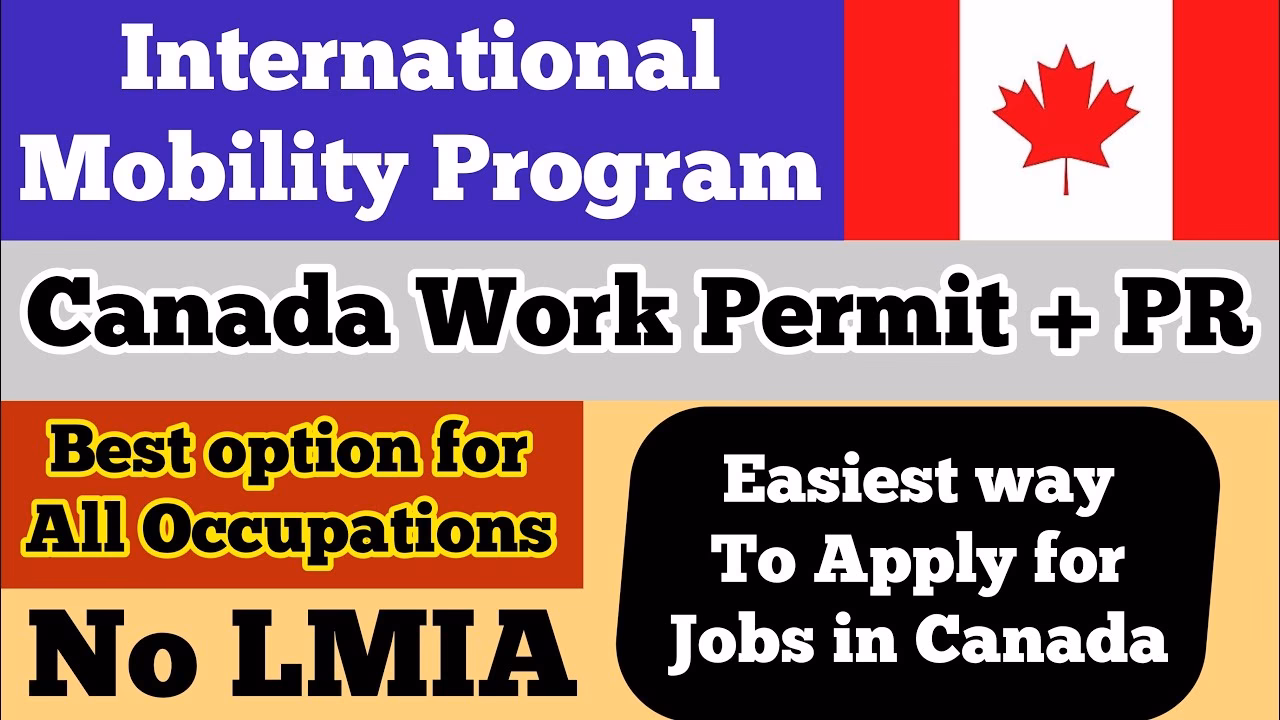 What should I do if my employer violates the International Mobility program?