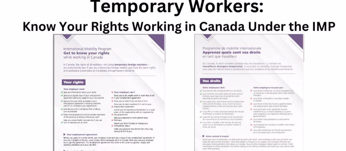 What is the International Mobility Program (IMP)?