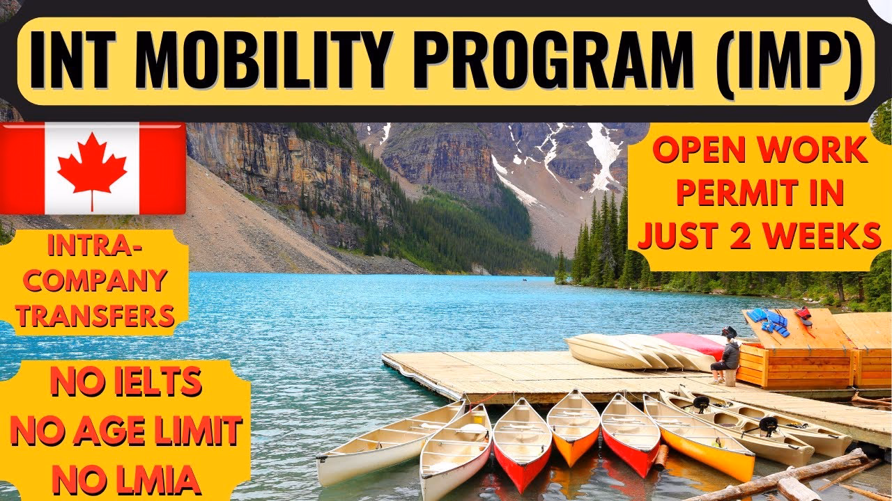 What is the International Mobility Program (IMP)?