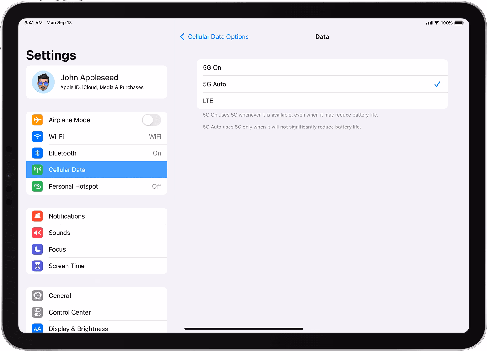 What is mobile data on iPad?