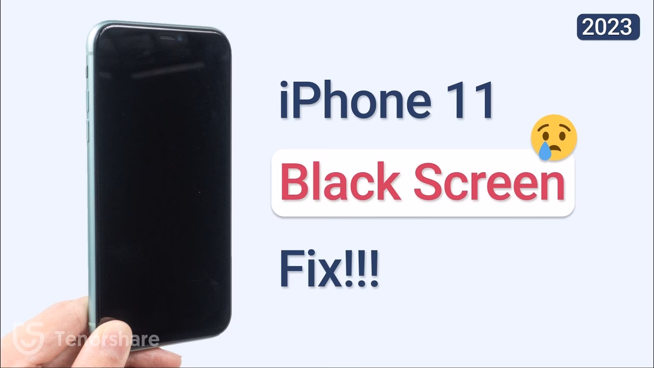 Why is my iPhone 11 screen black?
