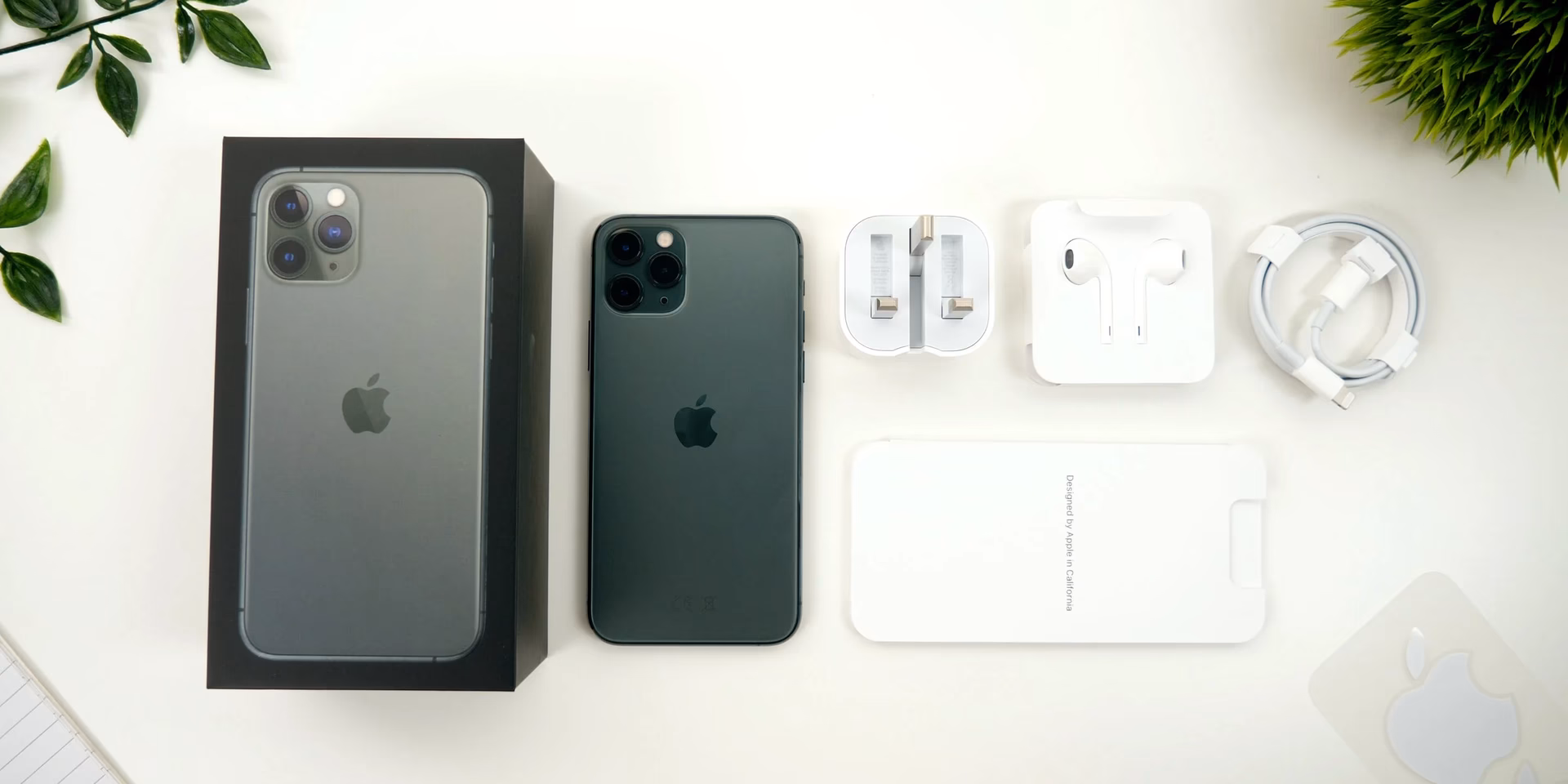 When will iPhone 11 be released?