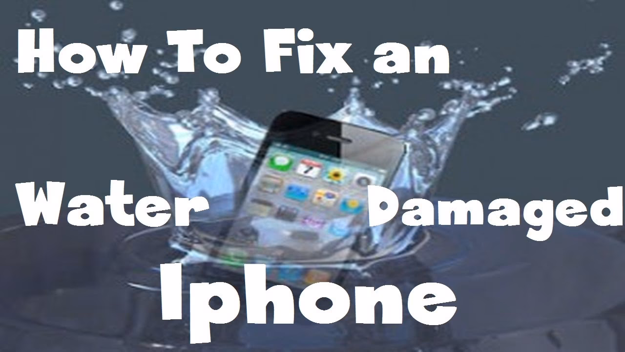 How to dry water damaged iPhone by yourself?