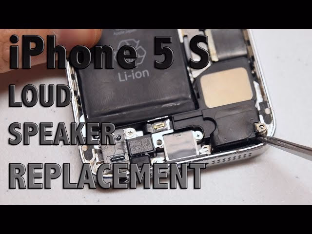 Why is my iPhone 5 speaker not working?