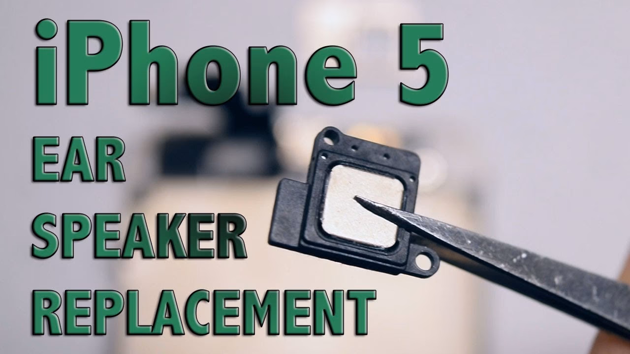 Why is my iPhone 5 speaker not working?