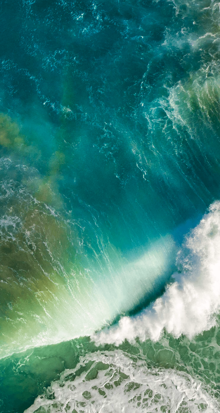 How many iPhone 5 wallpapers are there?
