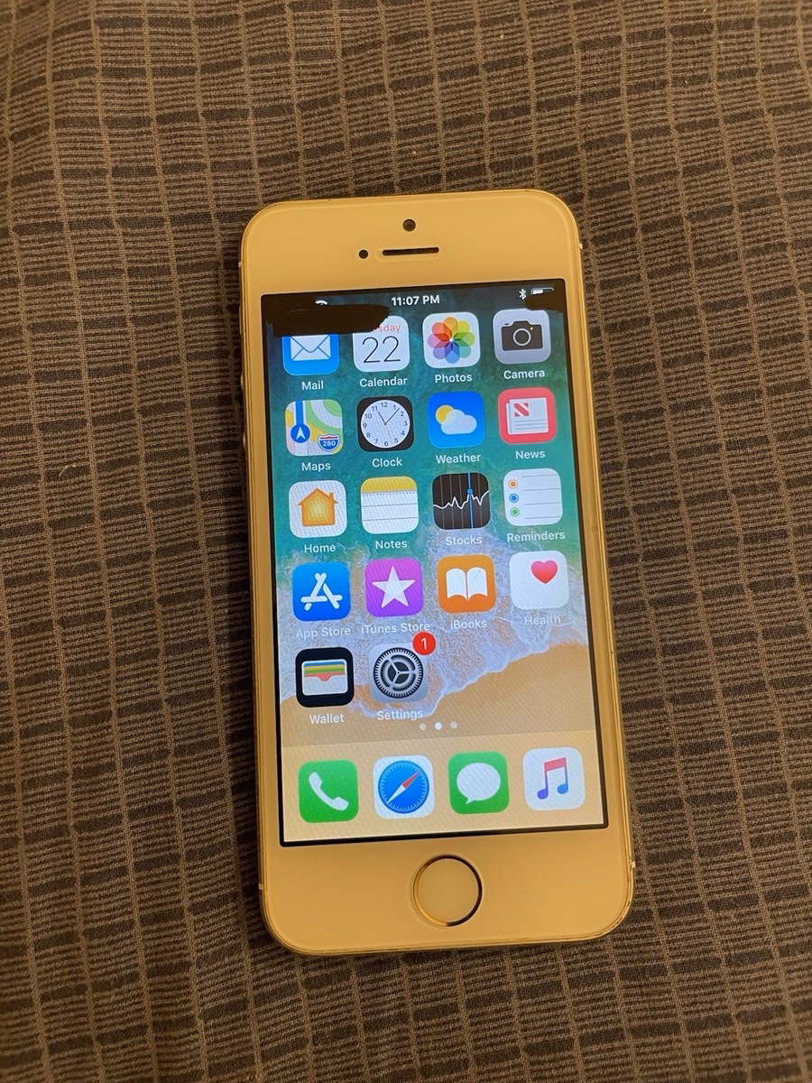 ¿Cuáles son las características del iPhone 5s?