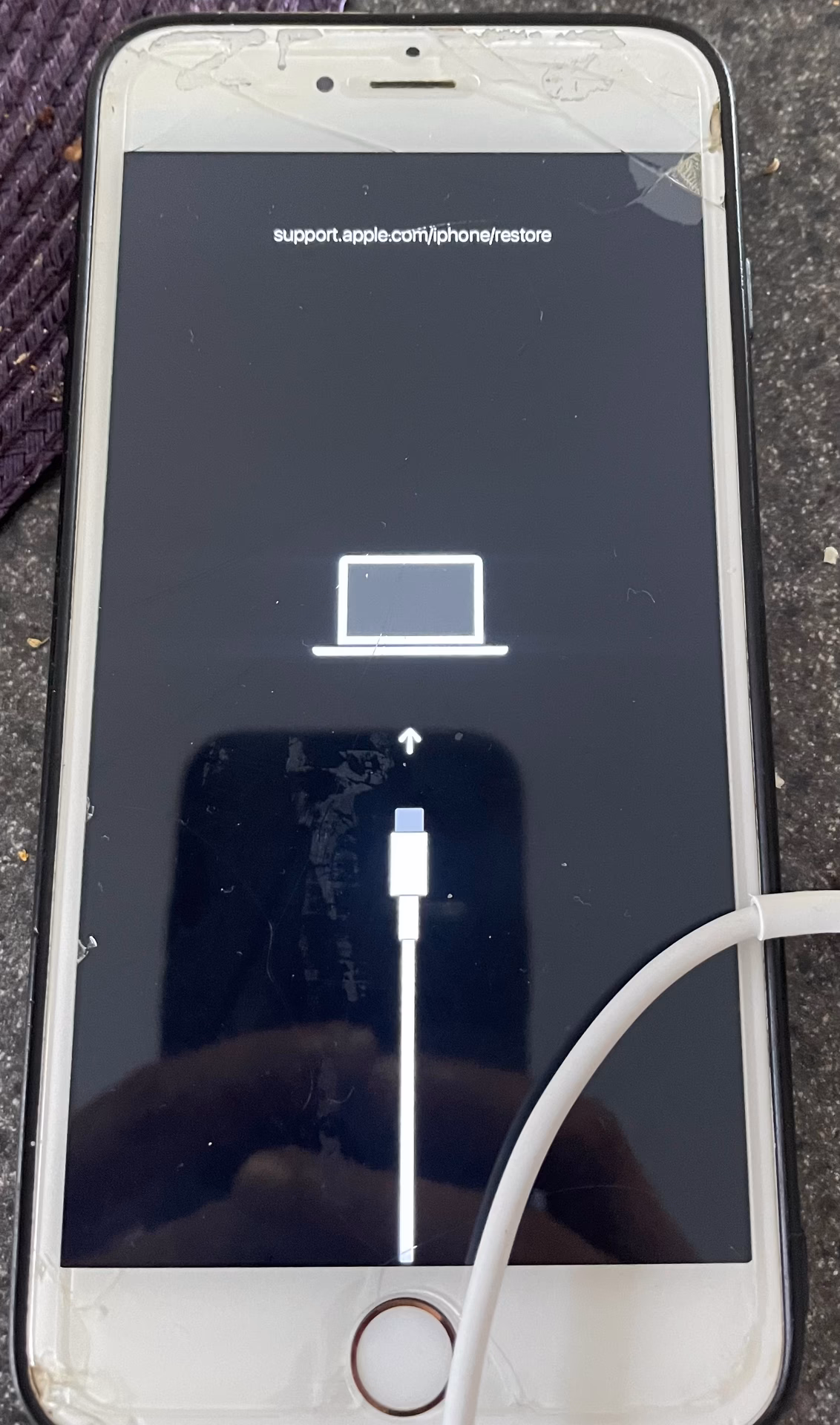 How to fix if iPhone 6 frozen?