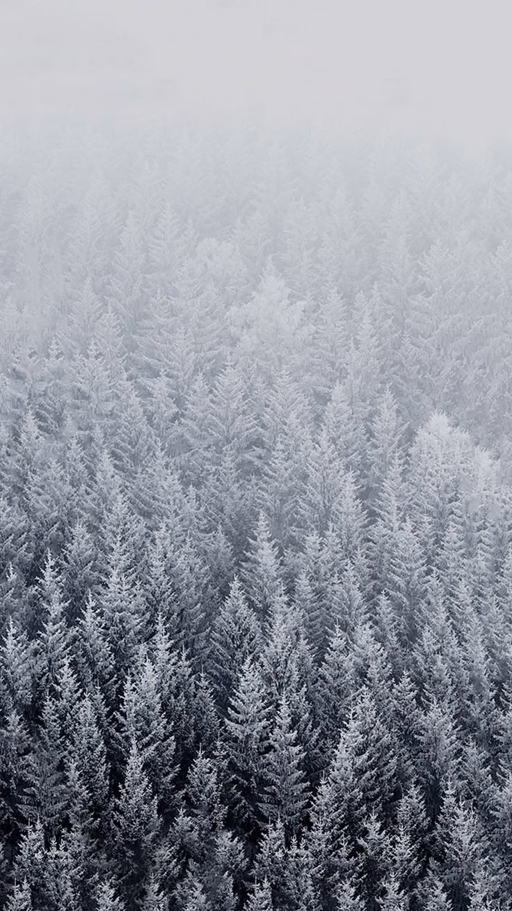 How many winter iPhone wallpapers are there?