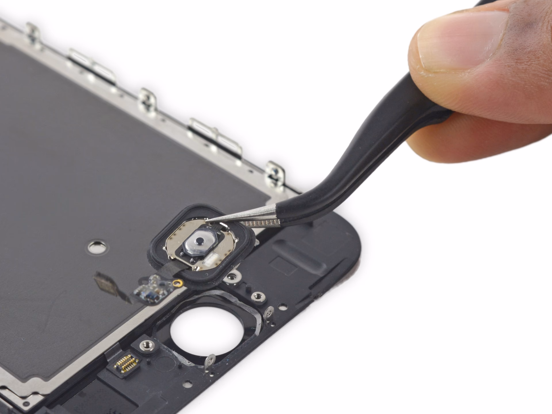 How do I disassemble my iPhone?