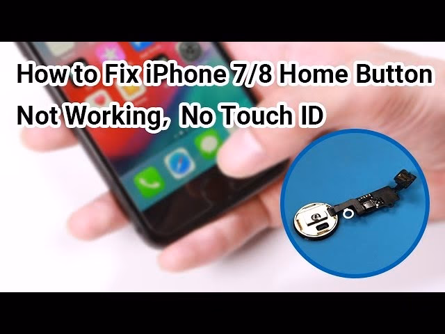 Why can't I activate Touch ID on my iPhone?