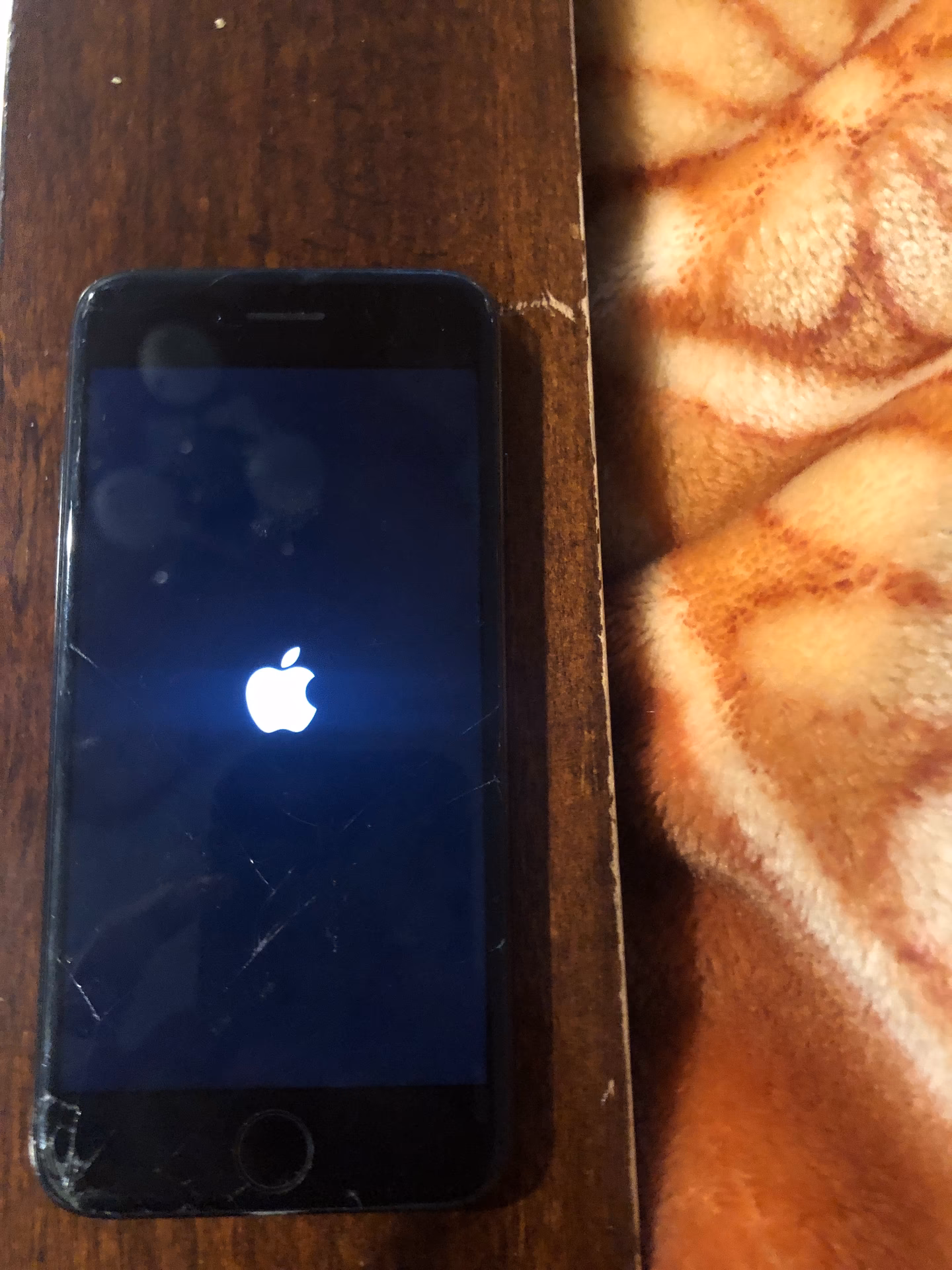 Why does my iPhone 7 keep rebooting?