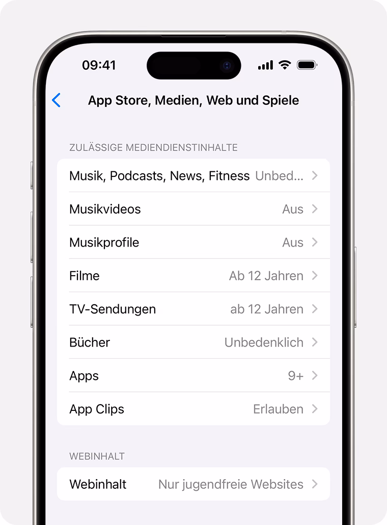 Was sind die Einschränkungen in iOS 12?