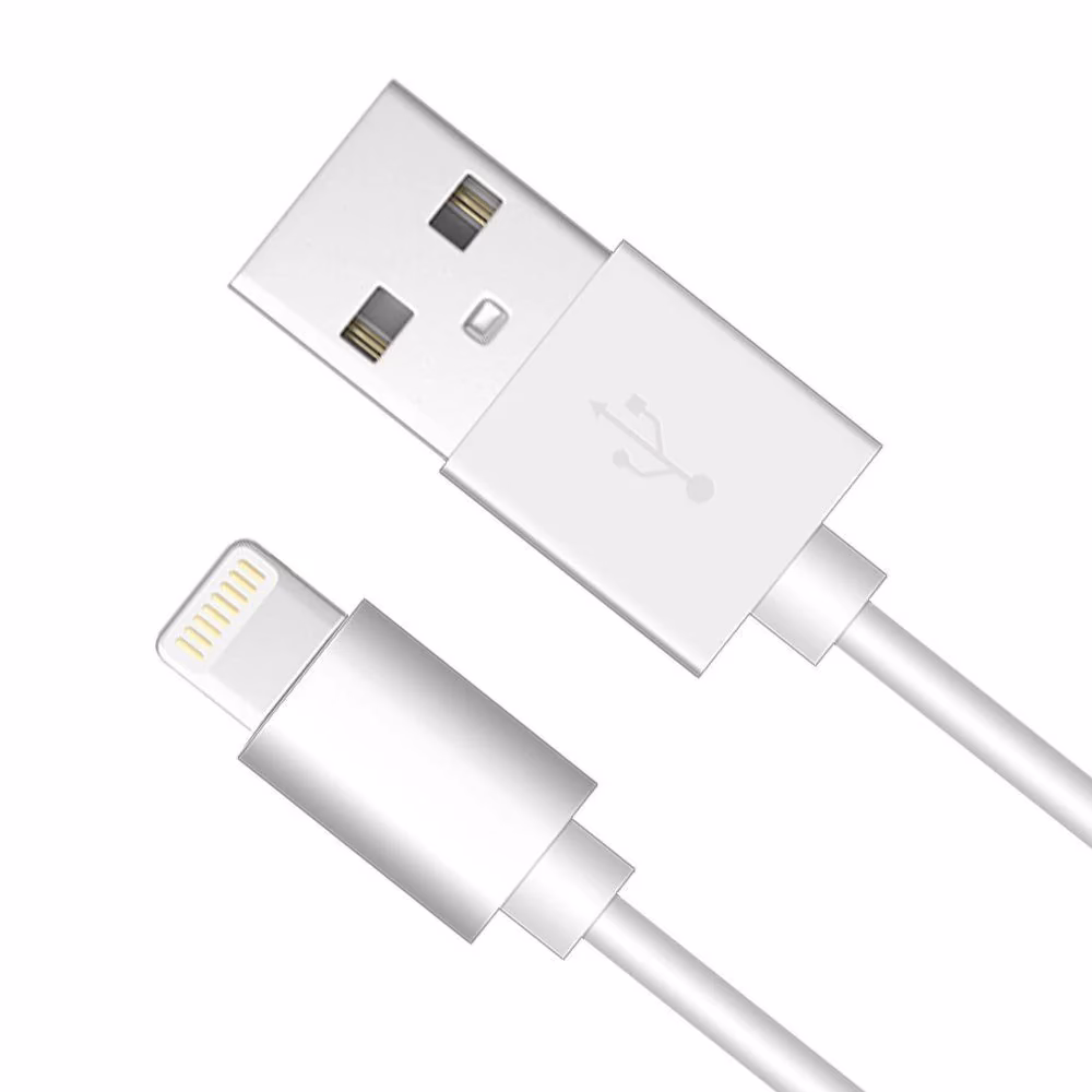 How can you charge an iPhone 8 Plus?
