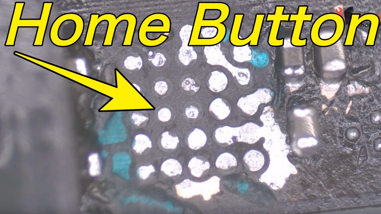 Why is my home button not working on iPhone 7?