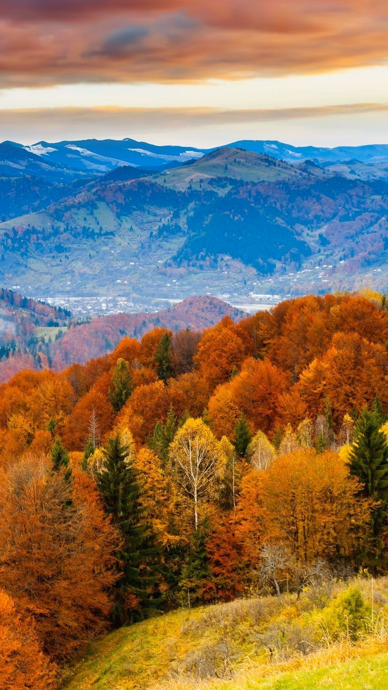 How many autumn iPhone wallpapers are there?