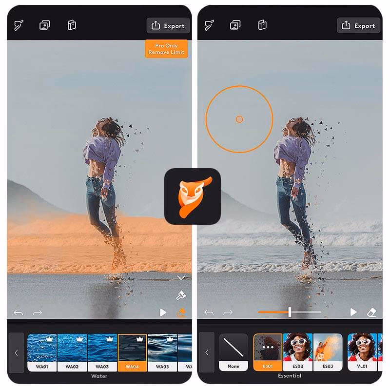What is the Animatix app?