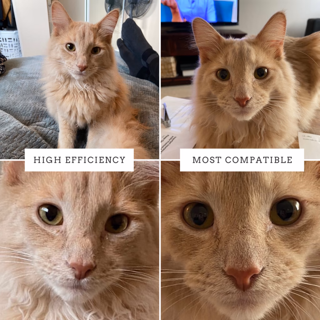 Does most compatible compress photos?