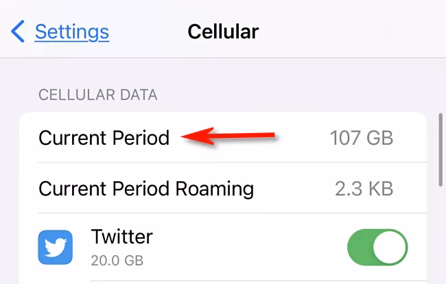 How do I know if my iPhone uses cellular data?