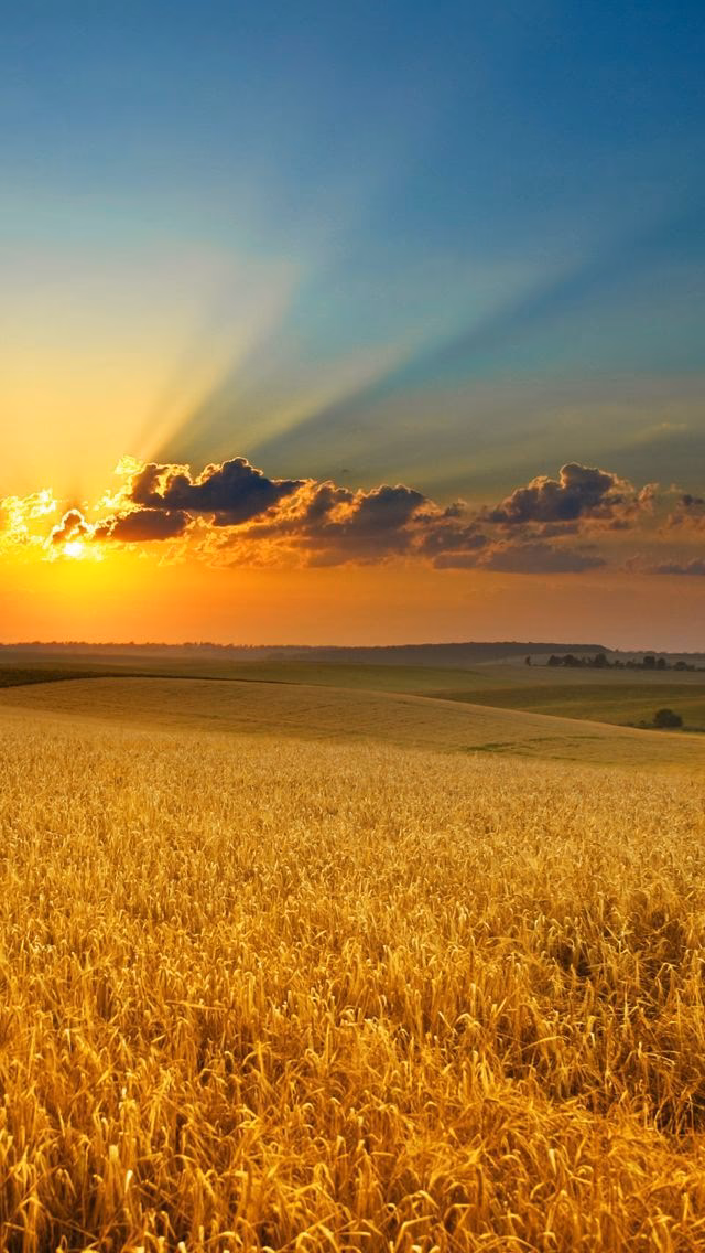 How to choose a screen saver?