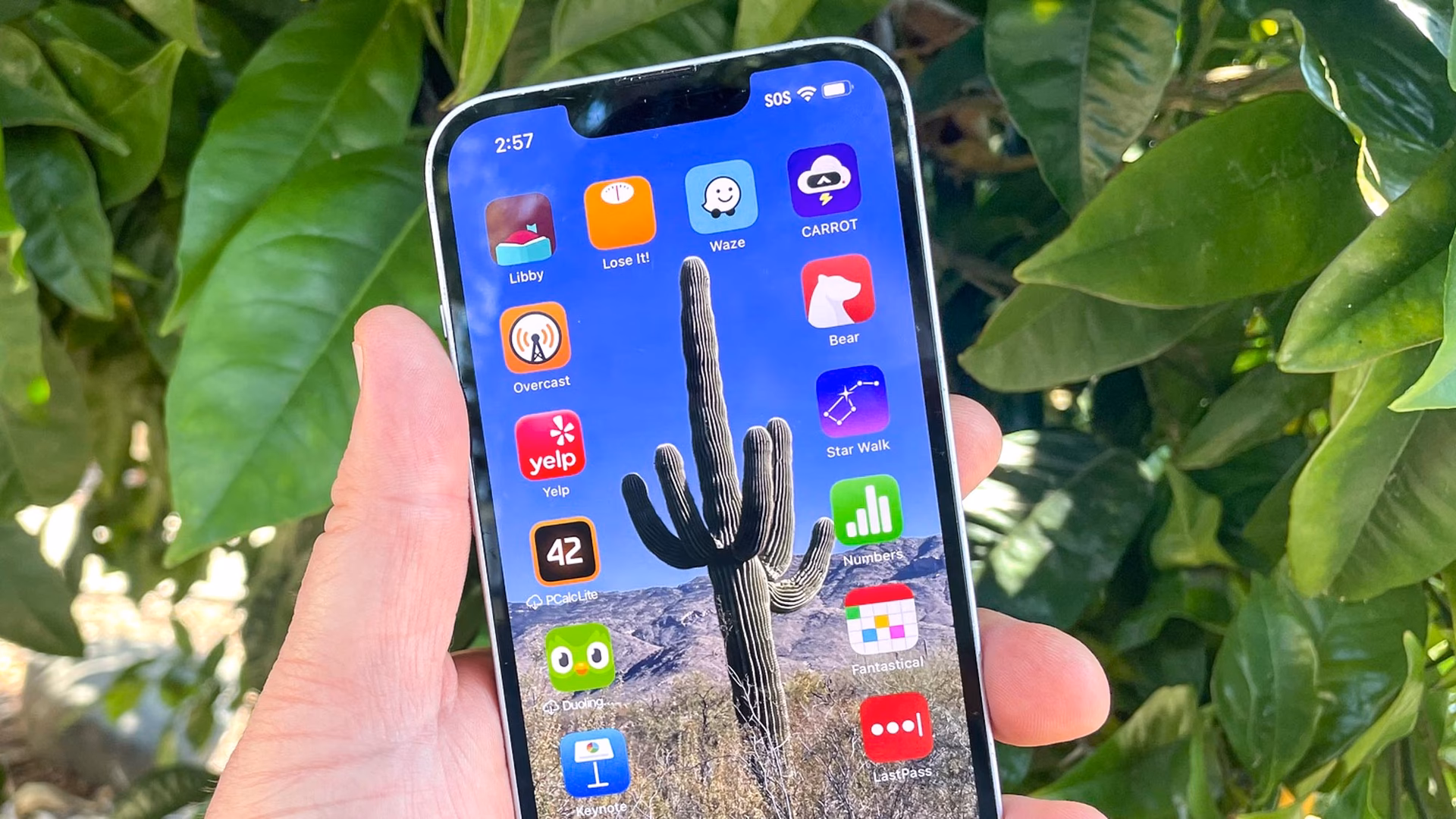 How do I organize my iPhone home screen?