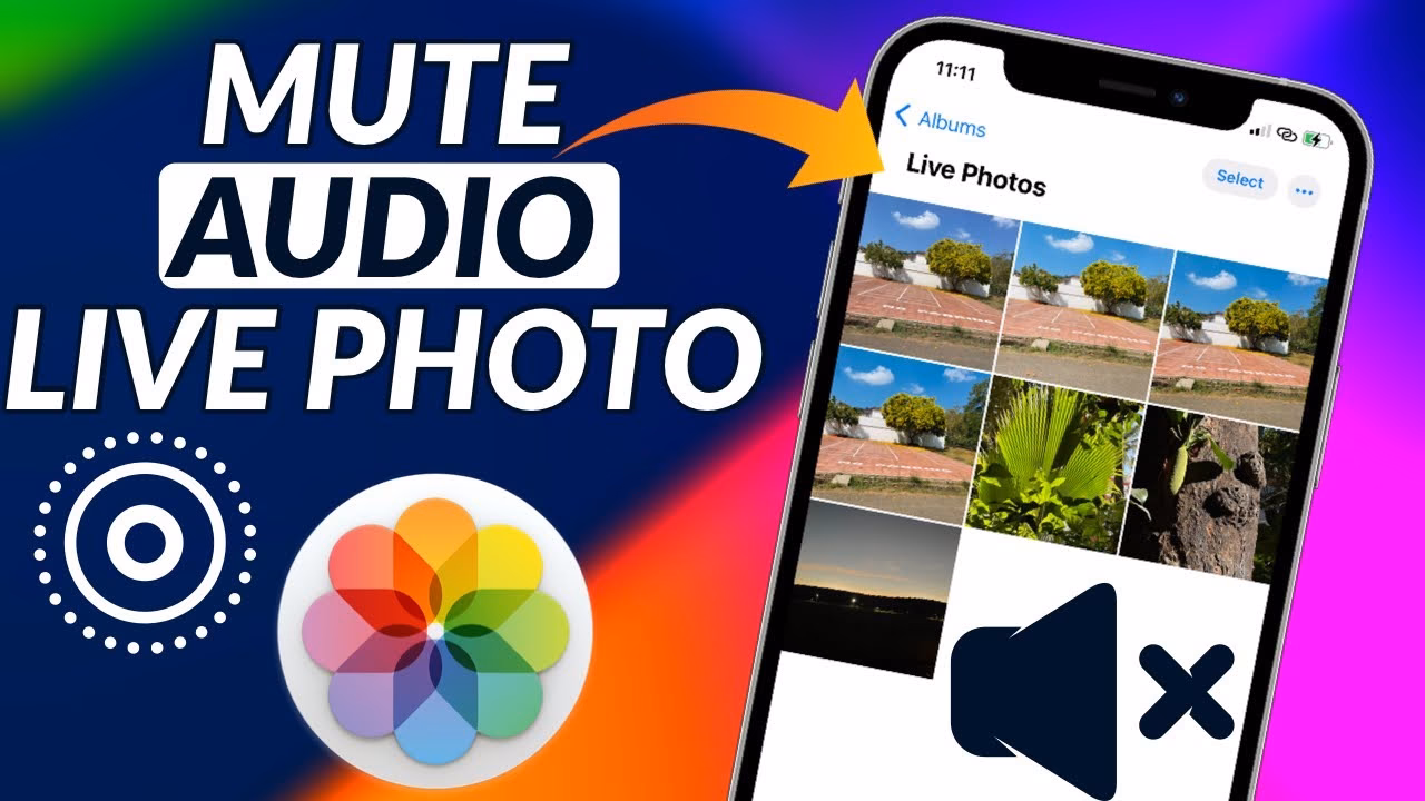Can you take a live photo without sound?