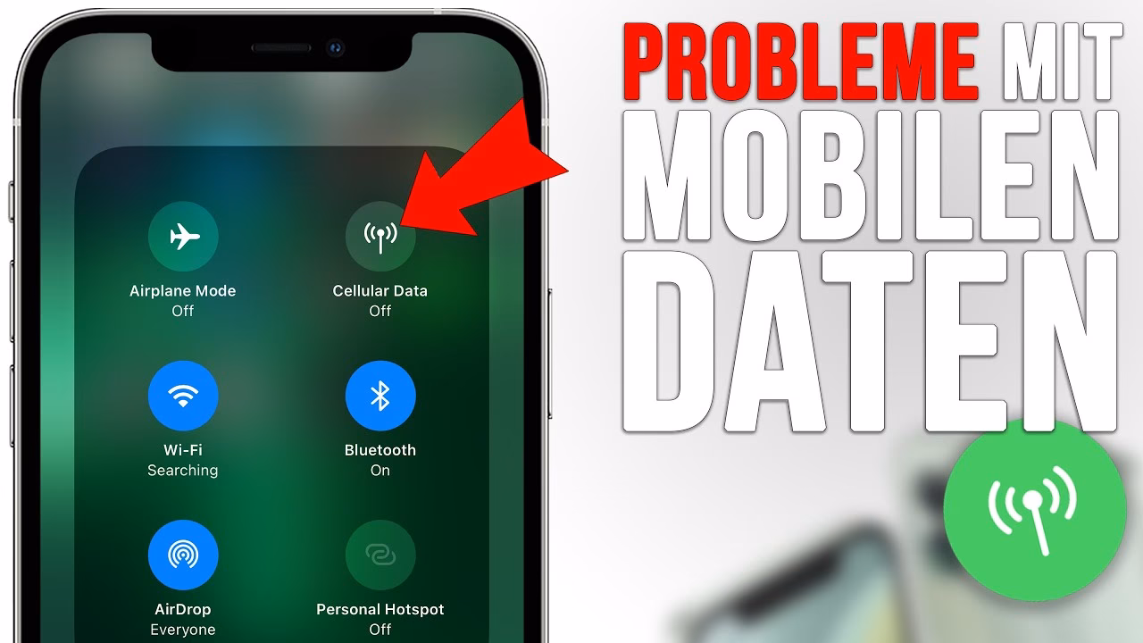 Wie überprüfe ich Die Mobilfunkdaten meines iPhone?