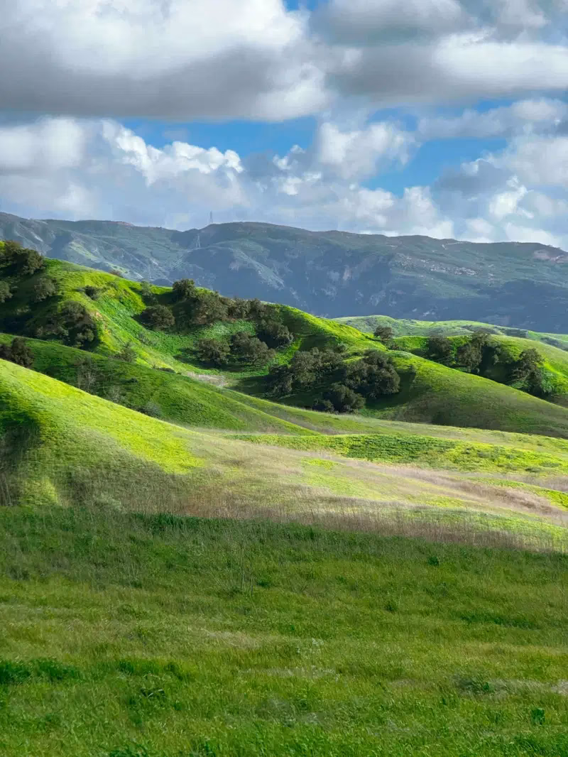 Should you use your phone for nature photography?