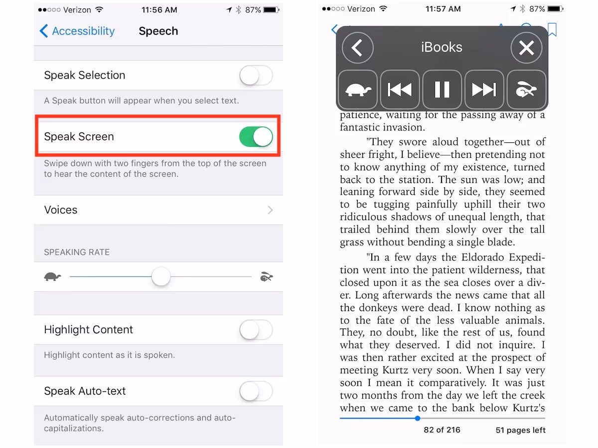 How to read text on iPhone?