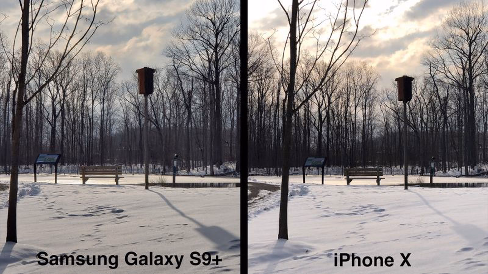 What is the difference between iPhone and Samsung camera apps?