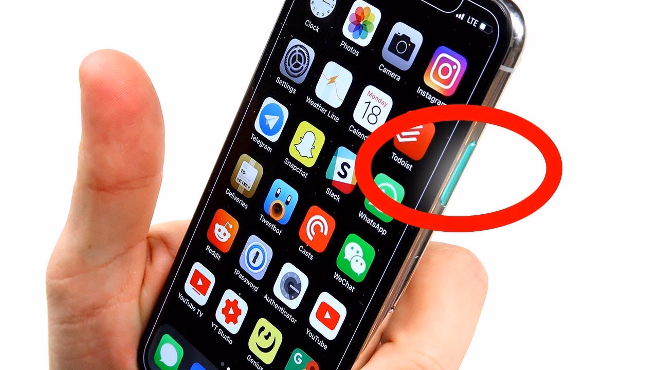 How do I know if my iPhone has a plant or animal?