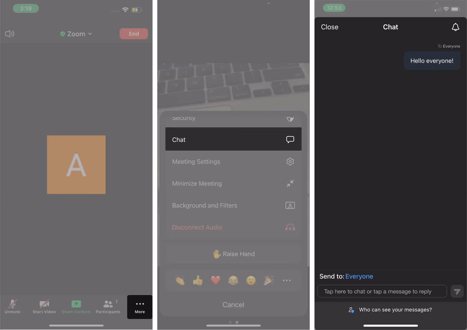 What zoom features are available on iOS?