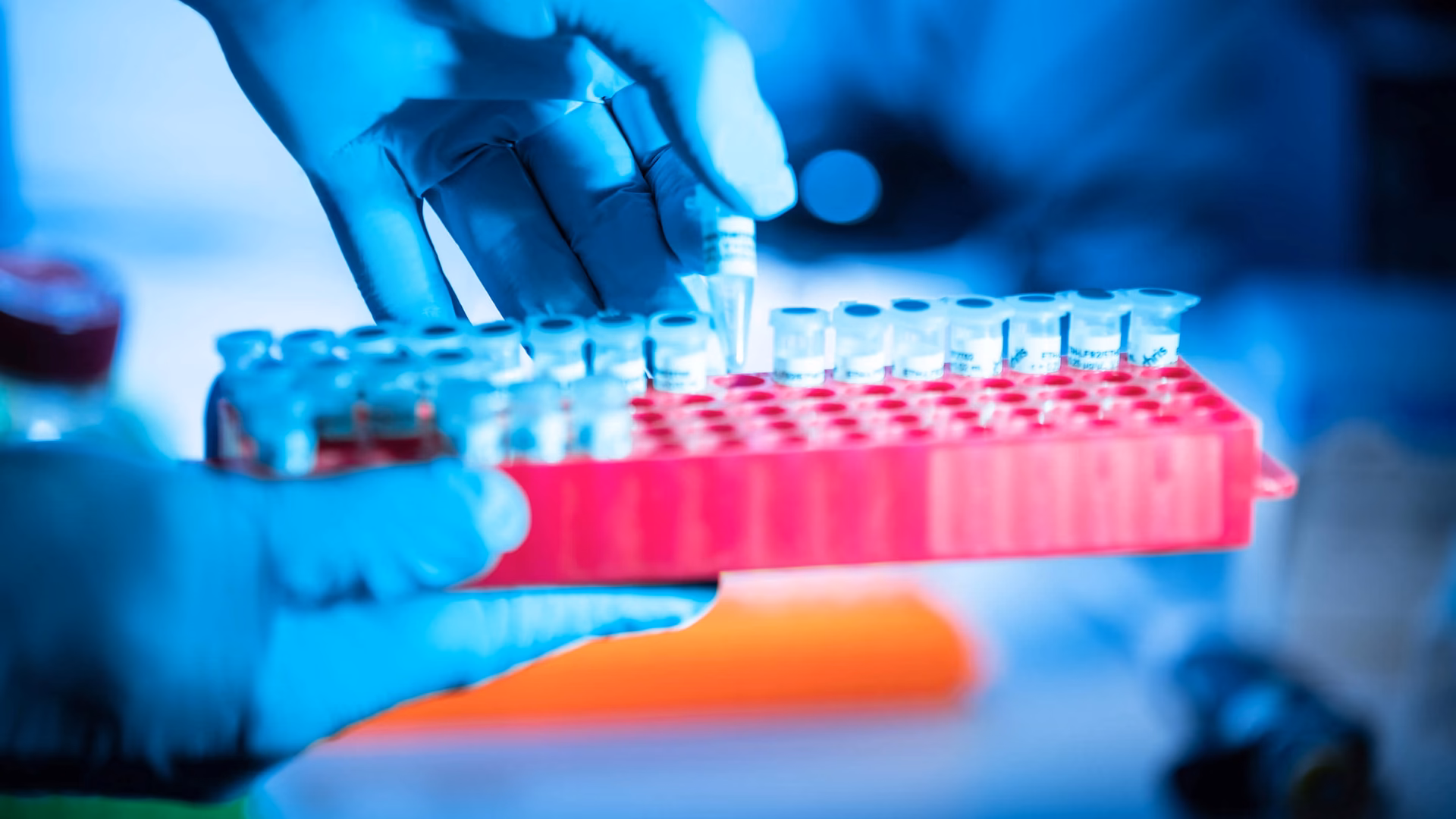 What is a joint lab?